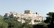 The Olive Oil Culture